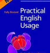 Practical English Usage Practical English Usage