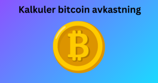 Slik kalkulerer du fremtidig avkastning i bitcoin